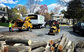 Best Weed Control  in Franklin, OH