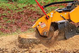 Best Hazardous Tree Removal  in Franklin, OH